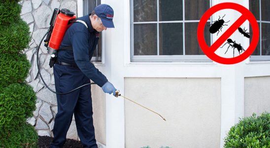Tokat Tahtakurusu İlaçlama böcek ilaçlama ve haşere kontrolü — ilaclama-tr.com